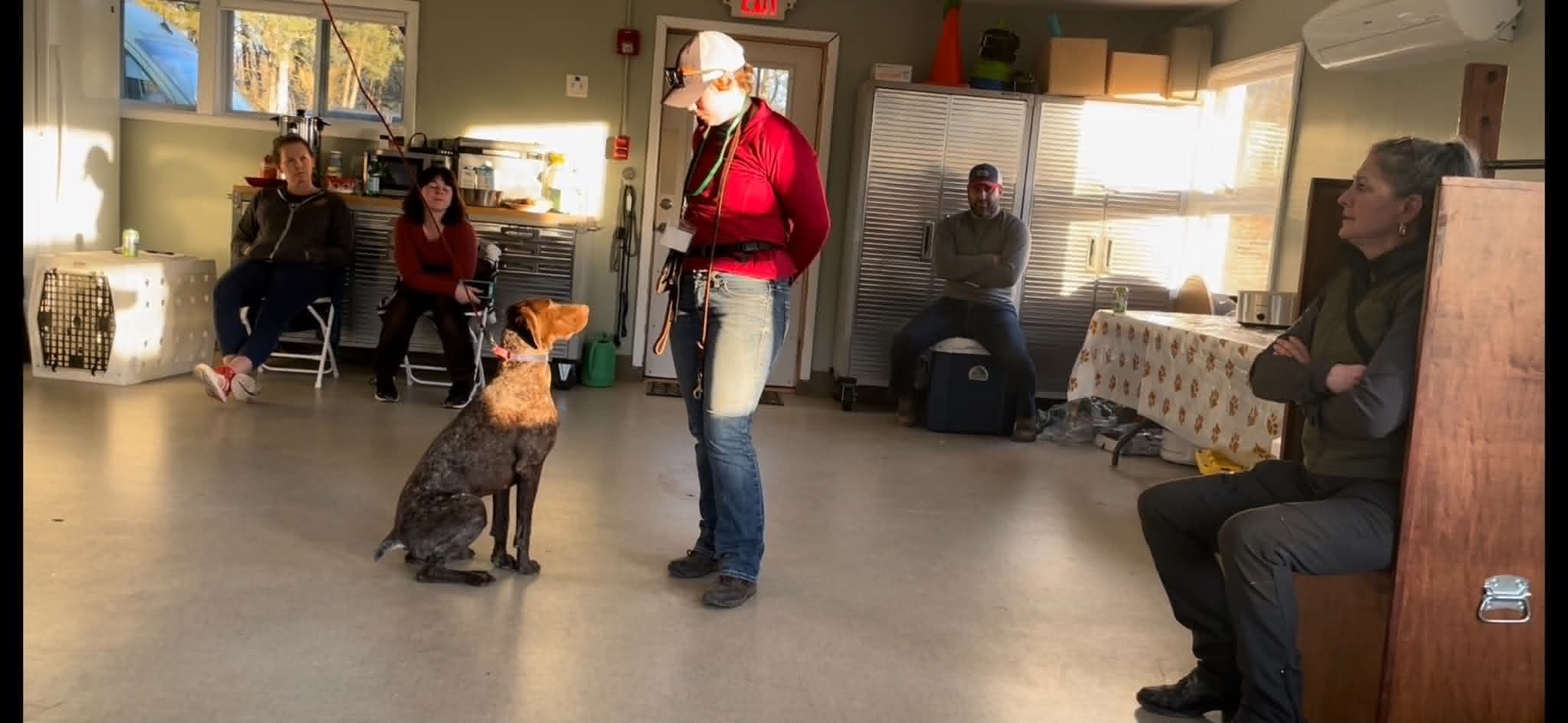 Dogs and owners practicing in a small Kendall's Canines class