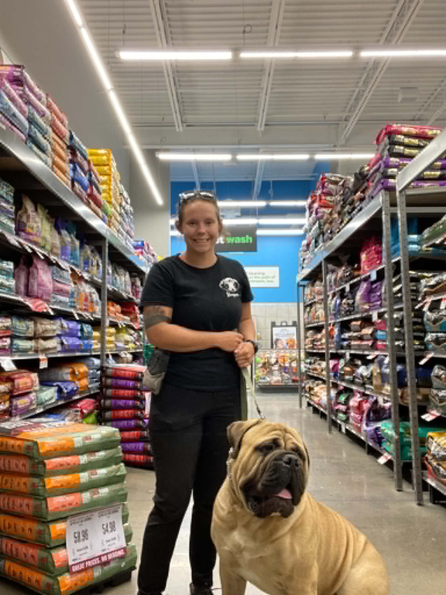 Cassie training public neutrality with a dog in a store