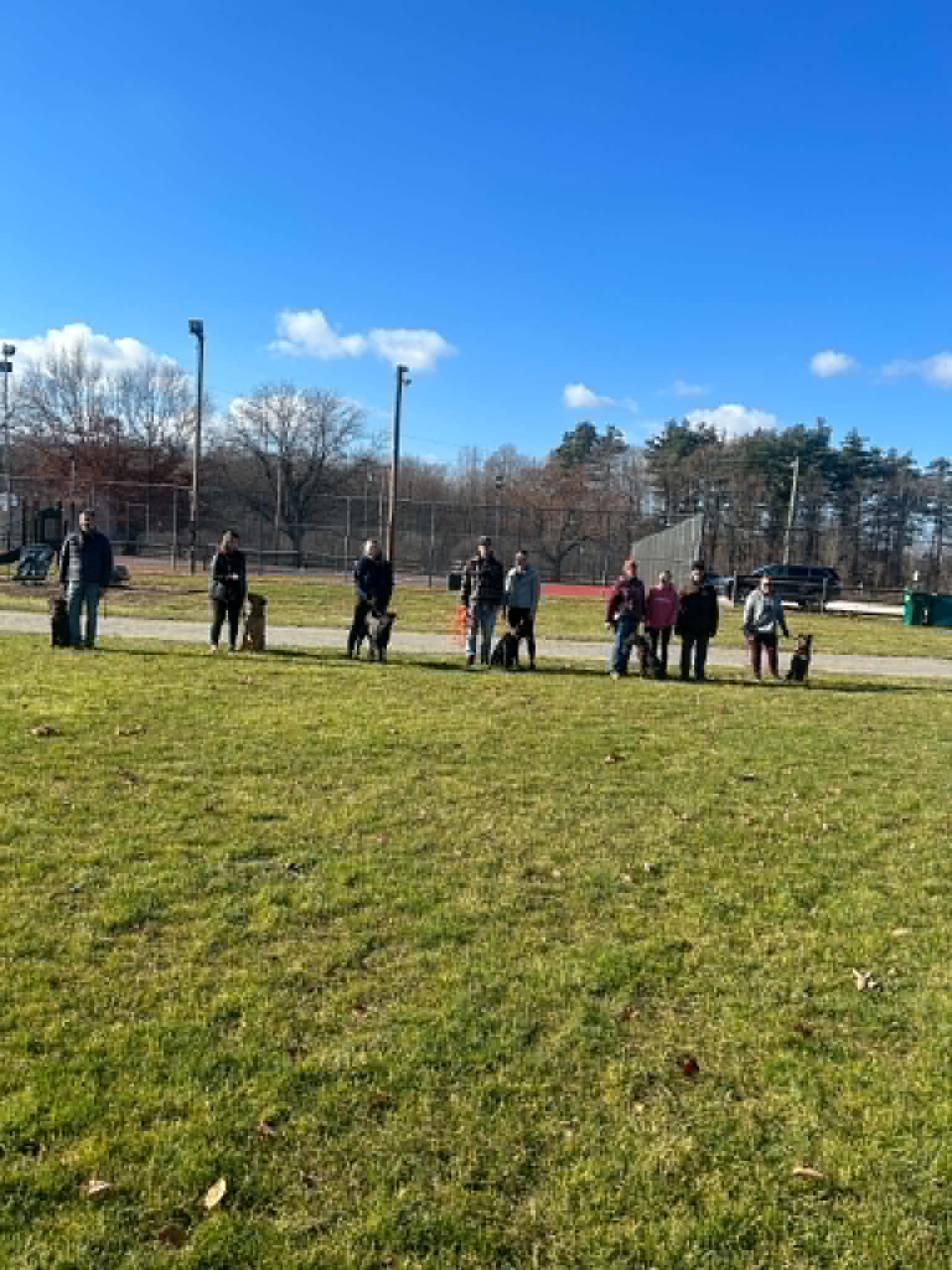 Dogs and handlers practicing socialization outdoors