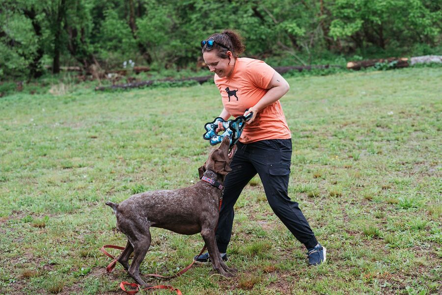 Cassie working with a dog outdoors