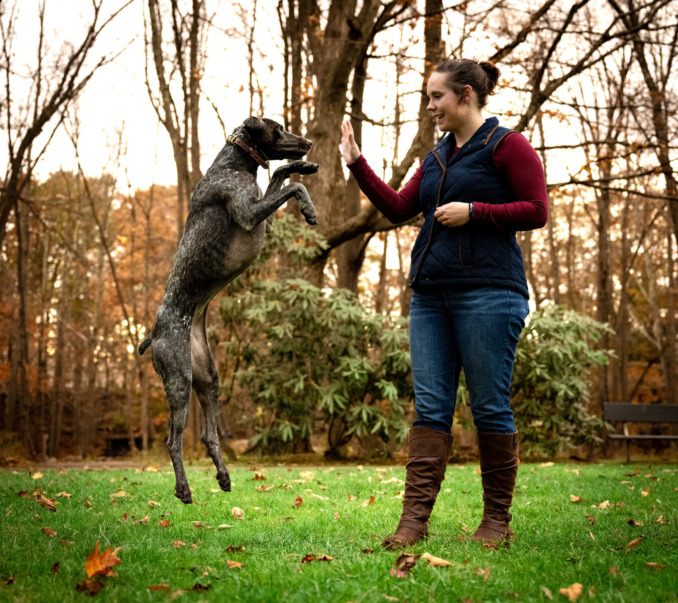 Cassie training a dog outdoors